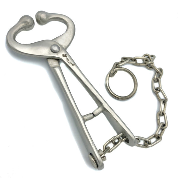 BULL LEAD WITH CHAIN, NO HOOK