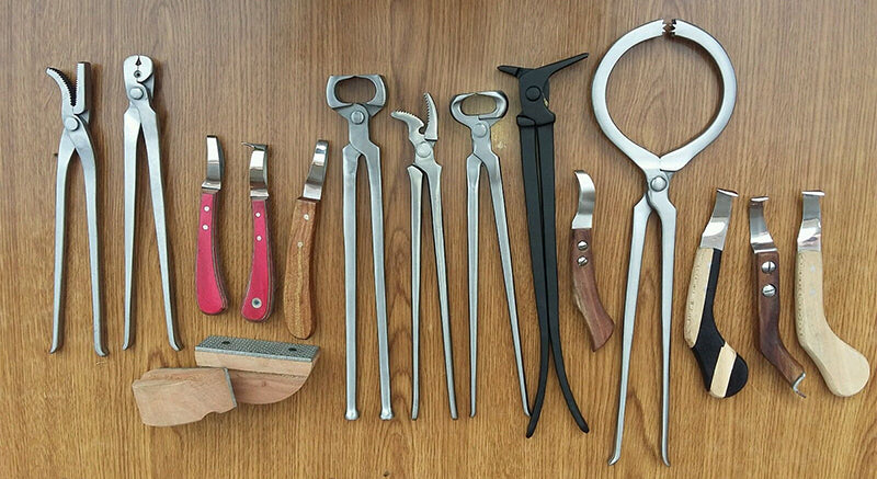 What Tools Do You Need for a Farrier?