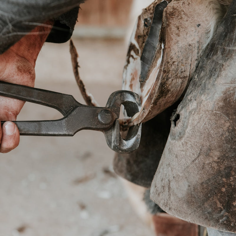 What Tools Are Used for Hoof Trimming?