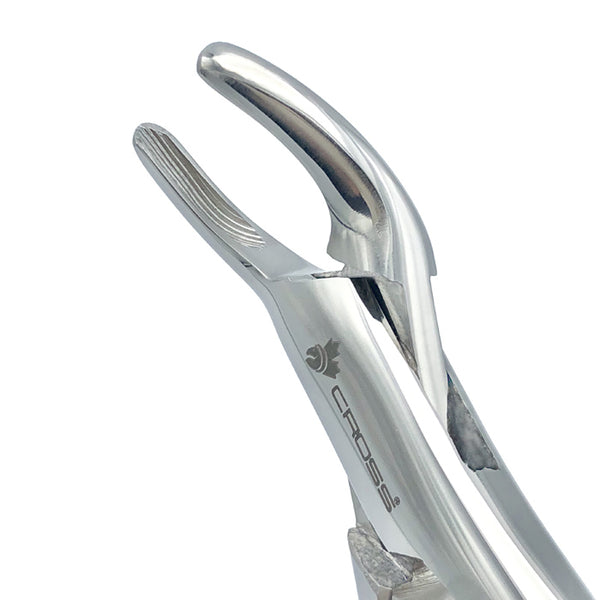CURVED WOLF / INCISOR TOOTH FORCEPS, #62