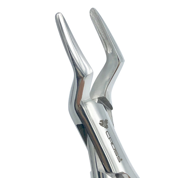 OFFSET WOLF / INCISOR TOOTH EXTRACTING FORCEPS, #65