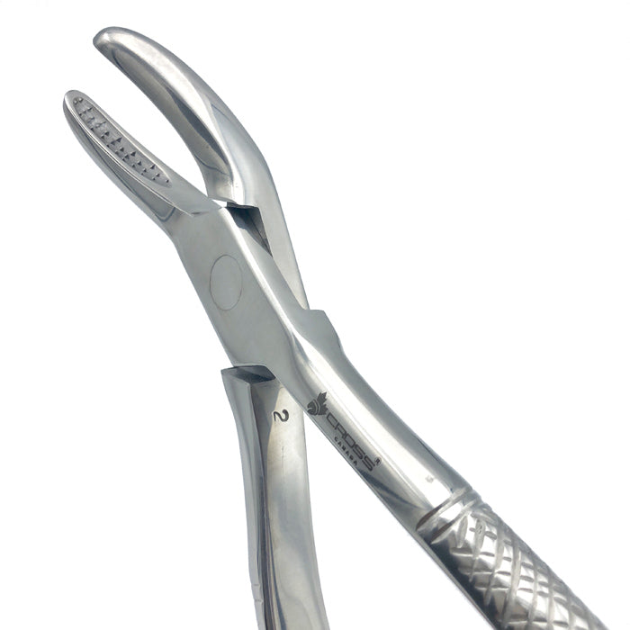 WOLF TOOTH FORCEPS, 9.5" (25CM)