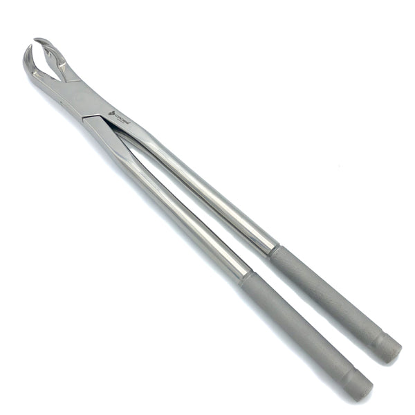 THREE ROOT FORCEPS OFF SIDE FOR PONY, 15" (38CM)