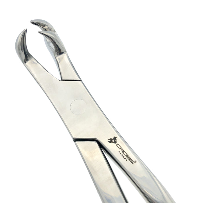 THREE ROOT FORCEPS OFF SIDE FOR PONY, 15" (38CM)