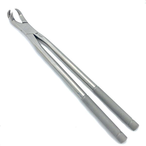 THREE ROOT FORCEPS ON SIDE FOR PONY, 15" (38CM)